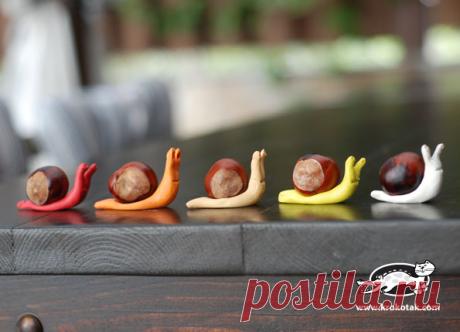 Snail for the smallest | krokotak