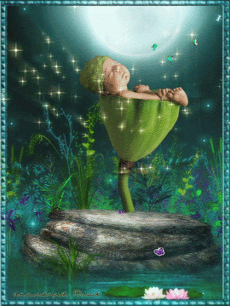 Живые фотографии – Сообщество – Google+