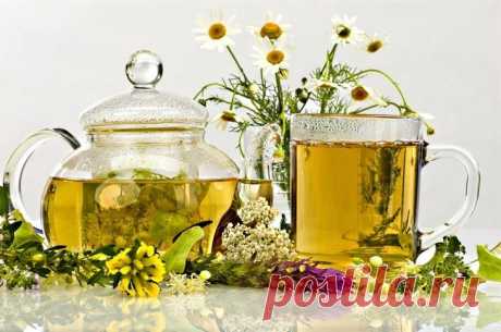 Густые, блестящие и крепкие волосы: рецепты для ополаскивания травами Современные девушки привыкли мыть волосы шампунем и наносить на них специальный бальзам, который облегчает расчесывание и увлажняет. Кондиционер можно подобрать для любого типа волос и без такого сред...