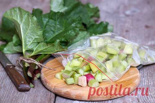 Как заморозить ревень - рецепт с пошаговыми фото / Меню недели