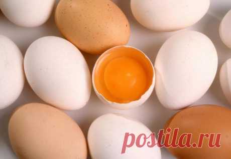 Между коричневыми и белыми куриными яйцами есть разница?