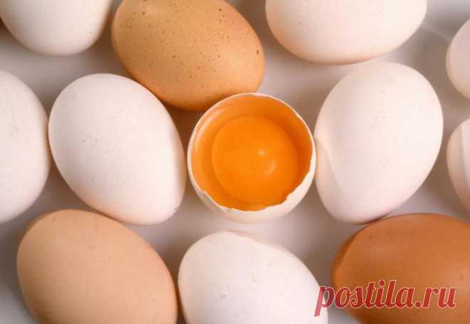 Между коричневыми и белыми куриными яйцами есть разница?