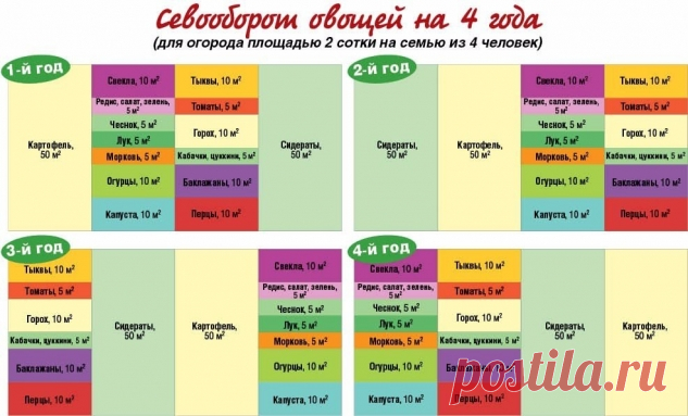 ​Как на небольшом участке вырастить урожай на всю семью