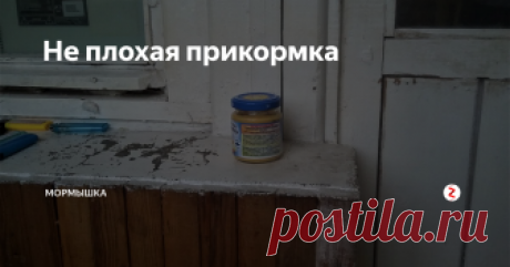 Не плохая прикормка Всем привет. Давайте разберемся в приготовлении одного из вариантов неплохой прикормки.
В любой рыбалке, важно учитывать все детали. Погода, водоем, время года и т. д. Еще важным аспектом рыбной ловли это хорошо подобранная приманка. Чем правильнее ее выбор, тем весомее результат. Как не крути, но в наше время, практически ни одна рыбалка не проходит без хорошей прикормки. Давайте рассмотрим один