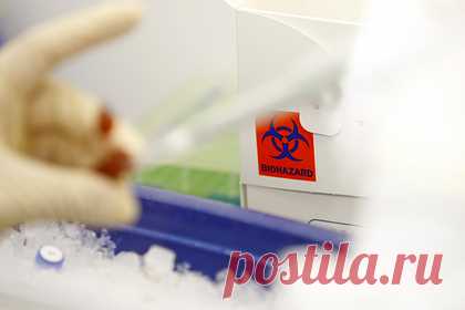 Соратник Трампа заявил об украинском биологическом оружии. Главный претендент на выдвижение в палату представителей штата Мичиган от округа Кент Роберт Риган заявил, что не стоит считать Украину совершенно невинной, и что известны несколько примеров коррумпированности властей Киева, в частности, эпизоды с применением биологического оружия, контрабандой и отмыванием денег.