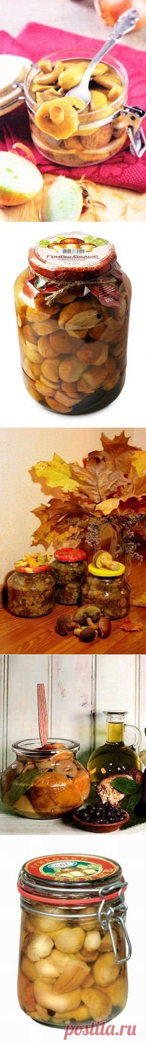 Маринованные грибы: ТОР - 5 лучших рецептов