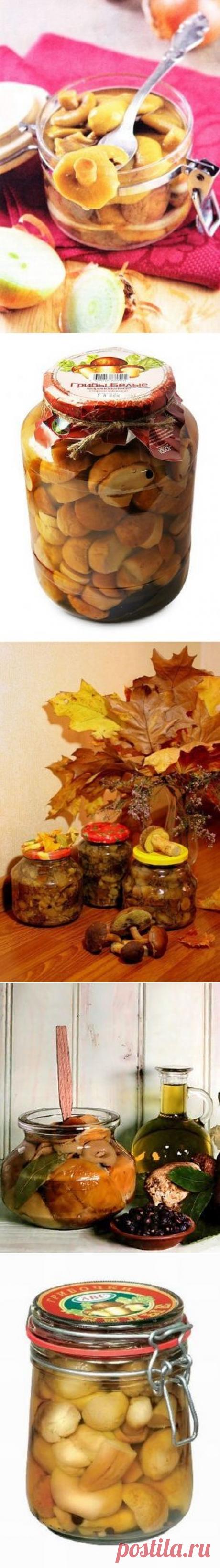 Маринованные грибы: ТОР - 5 лучших рецептов