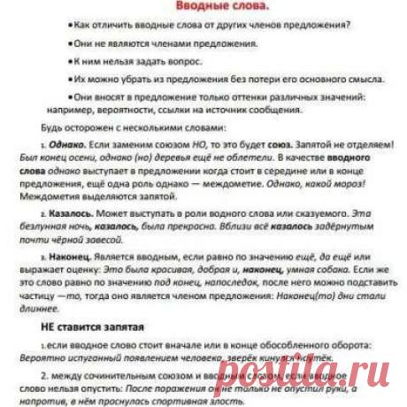 Учитель русского языка