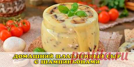 Домашний плавленый сыр с шампиньонами | Полезные советы