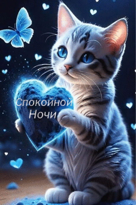 Спокойной ночи
