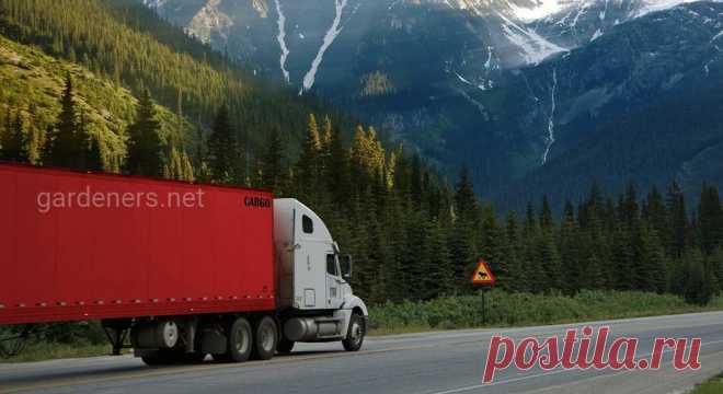 Компания АРЕС ТРАНС - доставка растений из любой точки мира | Огородники Компания АРЕС ТРАНС доставит для любимых клиентов растения с любой точки мира. Новинка: садовый центр в Ворзеле, чтобы выбор стал проще.