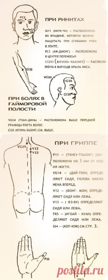 Целебные свойства бальзама «Звездочка»