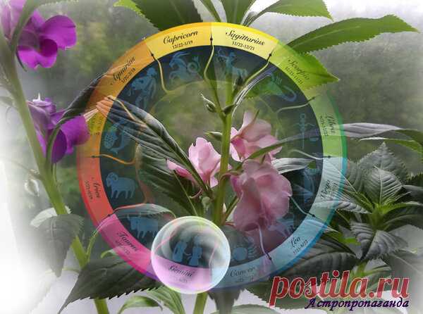 Гороскоп для Близнецов на неделю с 10.06.2019 по 16.06.2019 | Астропропаганда | Яндекс Дзен
Автор прогноза: астролог Нина Стрелкова. Гороскоп для Близнецов. 
В понедельник хорошо пойдут все домашние дела кроме стирки.
Во вторник и среду могут хорошо решаться вопросы, связанные с имуществом родителей.
В четверг и пятницу не исключены проблемы с дальними родственниками.
В субботу и воскресенье старайтесь не нарушать гармонию, не поднимать спорных вопросов.
В вашем знаке на этой неделе...