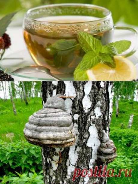 НАРОДНЫЙ РЕЦЕПТ ЛЕЧЕНИЯ РАКА