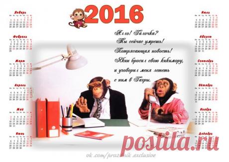 Прихожу на работу, а там ёлка наряжена и плакат от руководства: "С Новым годом, обезьяны!"