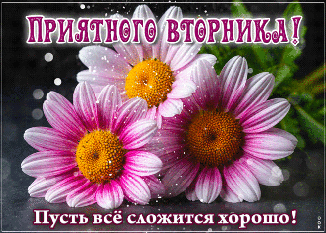 Живая гиф-открытка, приятного вторника | Открытки Онлайн