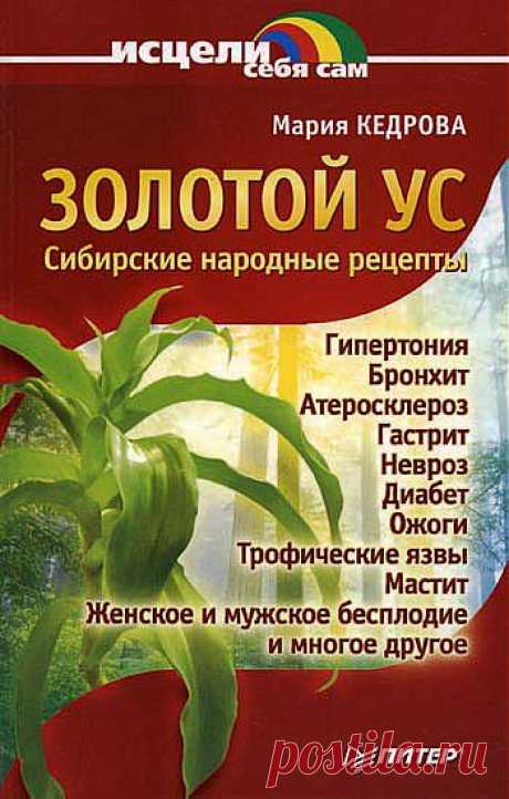 ЛЕЧЕНИЕ ЗОЛОТЫМ УСОМ