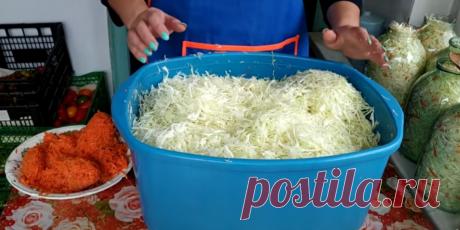 В какие дни недели нужно квасить капусту. Любимый семейный рецепт. Так квасила моя бабушка и мама