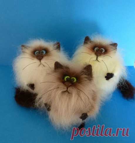 м