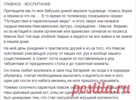 (4) Группа «Просто Осталась Краска»
