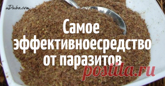 Очистите организм от паразитов и нормализуйте свой вес! Паразиты внутри человеческого организма - не такое уж и редкое явление в наше время. С ними необходимо бороться самым безжалостным образом. Ведь они отравляют и разрушают наш организм.