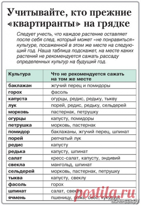 севооборот овощных культур на дачном участке таблица: 5 тыс изображений найдено в Яндекс.Картинках