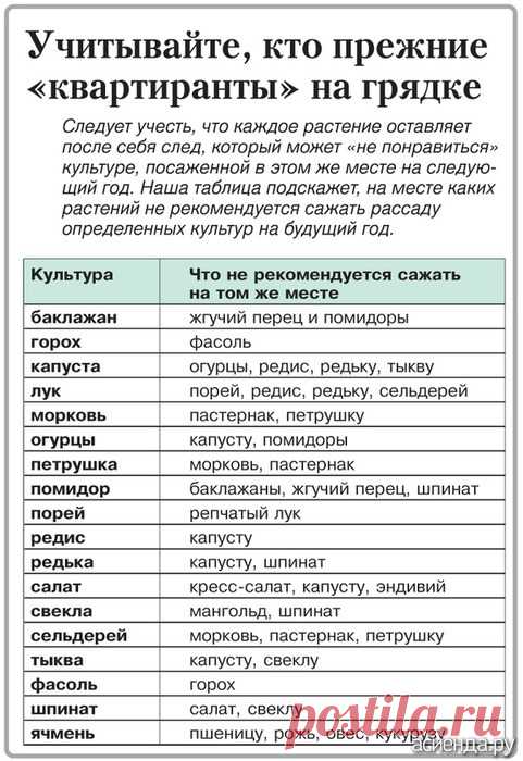 севооборот овощных культур на дачном участке таблица: 5 тыс изображений найдено в Яндекс.Картинках