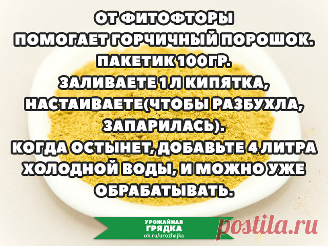 (90) Одноклассники