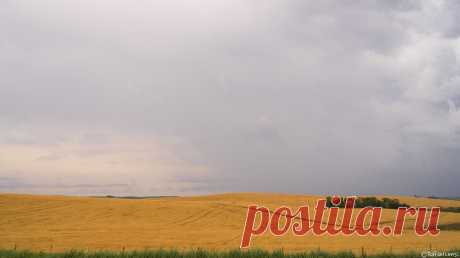 YouExif - Yellow field