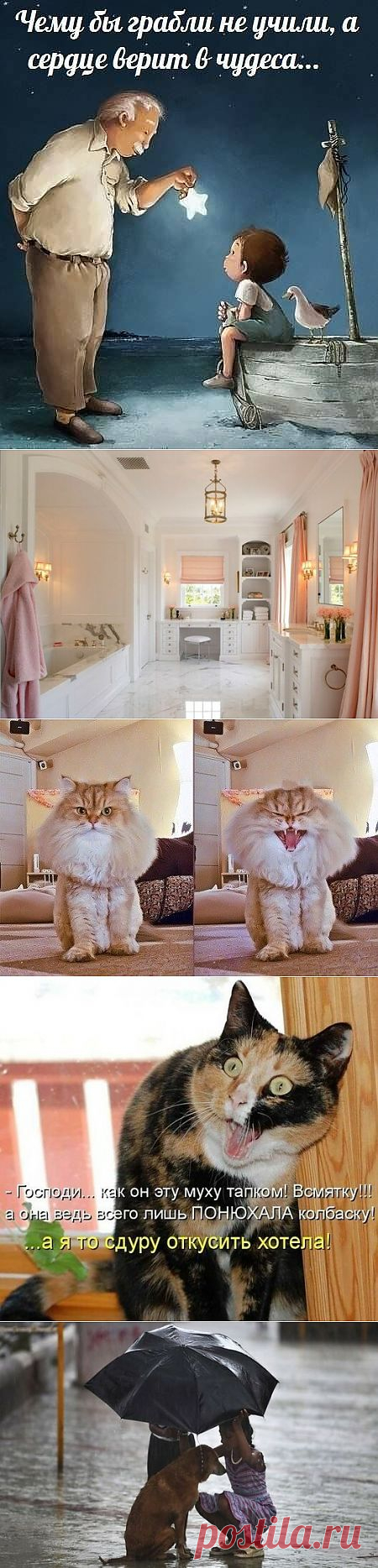 Мой Мир@Mail.Ru