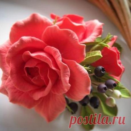 Заколка для волос с цветком садовой розы🌹🌹🌹#заколкасцветами #заколкадляволос #заколкасягодами #цветыручнойработы #цветывволосах #цветыизполимернойглины #розыизполимернойглины #хобби #моеувлечение #лепкацветов #ежевика #ежевикаизполимернойглины#handmade#polymerclay#flowers#beautiful#livemaster#ярмаркамастеров #мода #стиль #украшениевприческу #украшениевволосы #стильноеукрашение #красиво #творюкрасоту