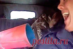 Рыбалка видео: Мужики едут на рыбалку видео