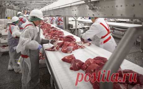 Мираторг подтвердил бескомпромиссное качество своей продукции | Наш Брянск·Ru