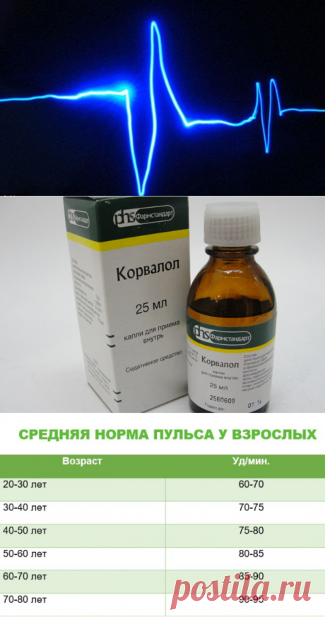 Учащенный пульс и сердцебиение: причины, лечение, профилактика