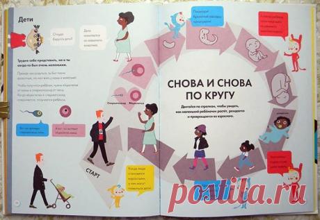Каждому ребенку интересно узнать, откуда берутся дети? Как же объяснить малышу все процессы правильно? Книга "Мое тело: от макушки до пяток" ( поможет сделать это в ненавязчивой игровой форме.