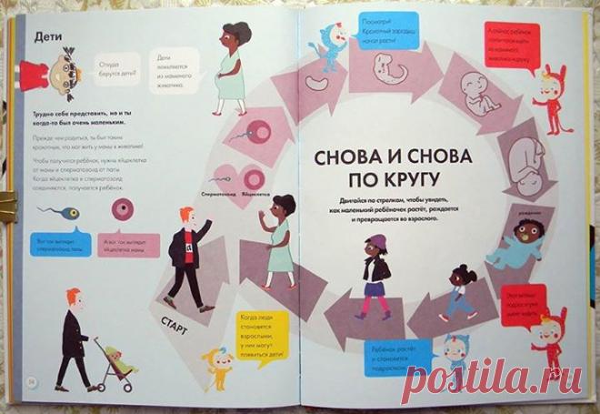 Каждому ребенку интересно узнать, откуда берутся дети? Как же объяснить малышу все процессы правильно? Книга "Мое тело: от макушки до пяток" ( поможет сделать это в ненавязчивой игровой форме.