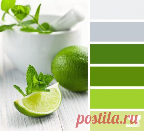 Design Seeds® | find your palette