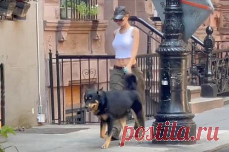 Нелепую деталь на фото Эмили Ратаковски с собакой высмеяли в сети. Американскую супермодель Эмили Ратаковски высмеяли в сети за нелепые фото с собакой Коломбо. Внимание пользователей сети привлекла одна деталь на упомянутых снимках. Поклонники заметили, что Ратаковски специально позирует на камеру даже во время выгула пса по улицам Нью-Йорка.
