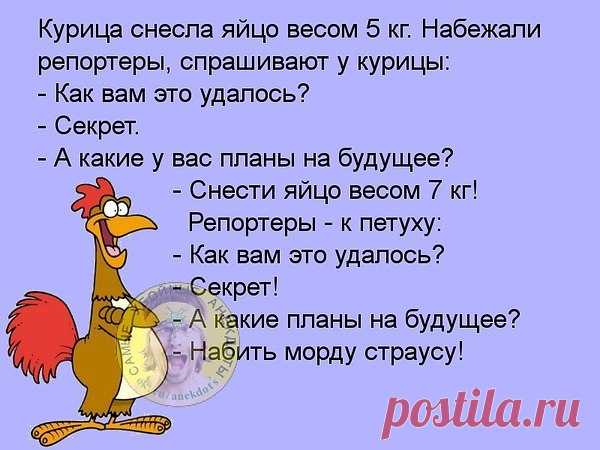 Интересные новости