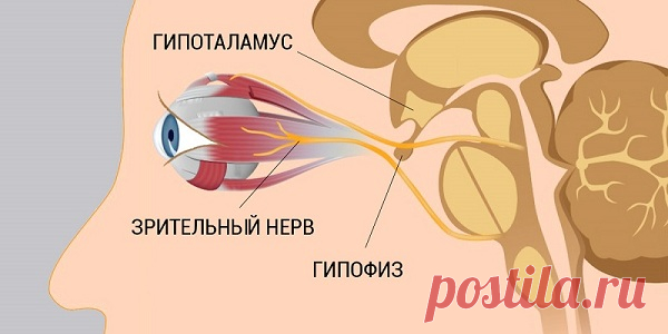 7 шагов к улучшению и восстановлению зрения. Работает, даже если ты носишь очки!
