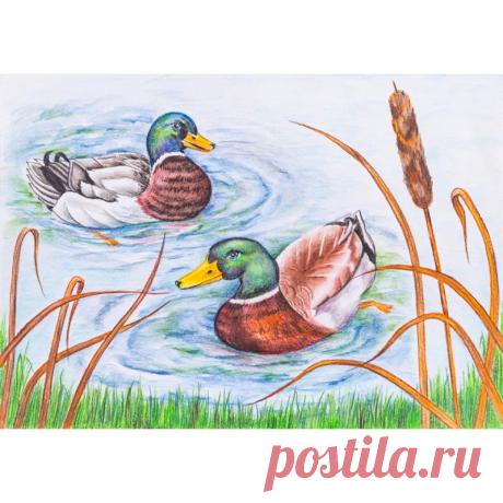 Фестиваль Леонардо «Радость творчества»