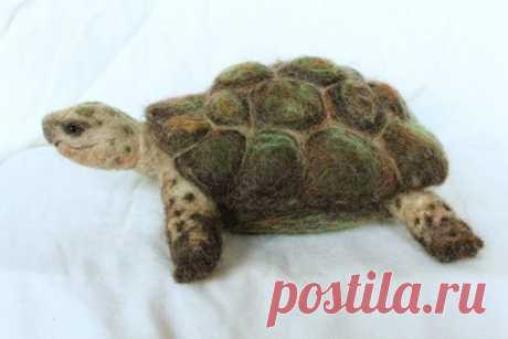 Needle Felted Tortoise, Large Tortoise Sculpture, Tortoise Art