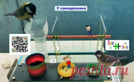 Кормушка-турник для синиц (КТС) и Приоритетная кормушка синицам – 6 (ПКС6) Несмотря на то, что зимы в Сибири стали более мягкими, большинство птиц зимой сильно страдают от холода. Многие птицы на зиму перебираются в города и посёлки городского типа поближе к человеку, где проще найти пропитание, а температура на несколько градусов меньше, чем в дикой природе. Известно,