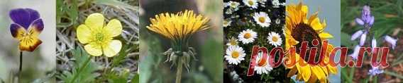 Which company has the best image recognition APIs in the market place today? - Quora