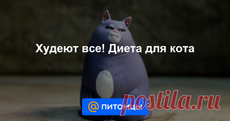 Давайте признаем, что живем мы в эпоху лишнего веса и гиподинамии. В квартирных условиях домашних мурлык надо не откармливать, а целенаправленно худеть. Попробуем разобраться, что не так в толстом коте...