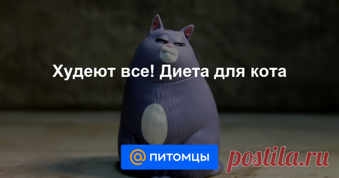 Давайте признаем, что живем мы в эпоху лишнего веса и гиподинамии. В квартирных условиях домашних мурлык надо не откармливать, а целенаправленно худеть. Попробуем разобраться, что не так в толстом коте...