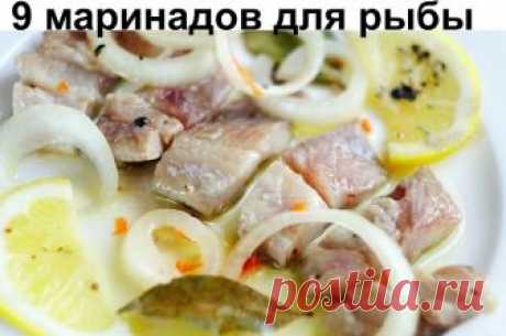 9 маринадов для рыбы. Сохраните себе обязательно! 

1.) ВКУСНАЯ СОЛЕНАЯ РЫБКА ЗА 2 ЧАСА .

Рыбу, приготовленную таким способом, можно кушать уже через 2 часа. Но еще вкусней она получится, если постоит немного в холодильнике и пропитается маслом. Но и сразу она очень хороша. В этот раз я солила сразу и селедку, и скумбрию вместе. Вы берите рыбку на свой вкус.

Потребуется:

2 рыбки
лук по вкусу (его можно побольше, очень вкусный)
вода комнатной температуры 400 мл
соль 2 ст...