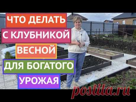 ВСЕ ОБ УХОДЕ ЗА КЛУБНИКОЙ ВЕСНОЙ 2023!