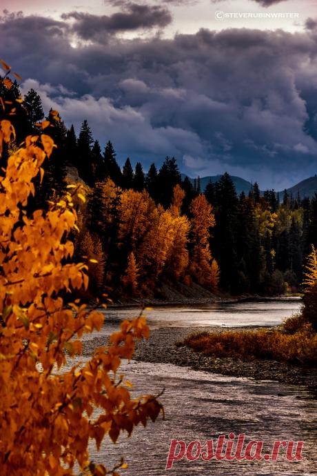 🍃🌹🍃🌷🍃🌹🍃🌷🍃🌹🍃