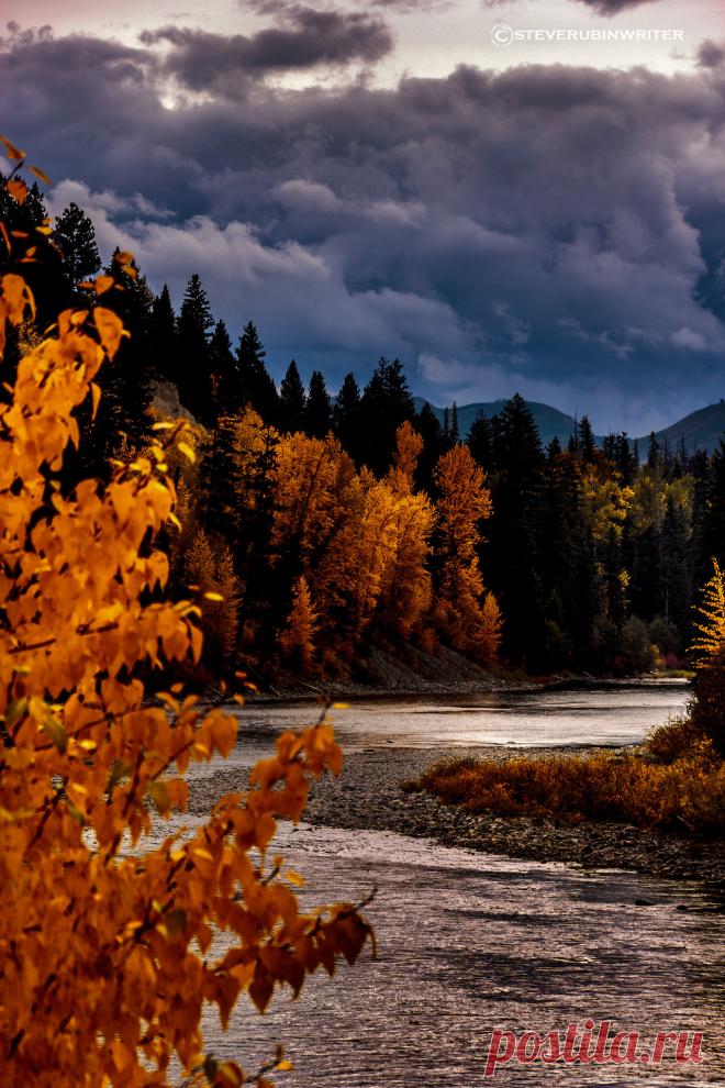 🍃🌹🍃🌷🍃🌹🍃🌷🍃🌹🍃